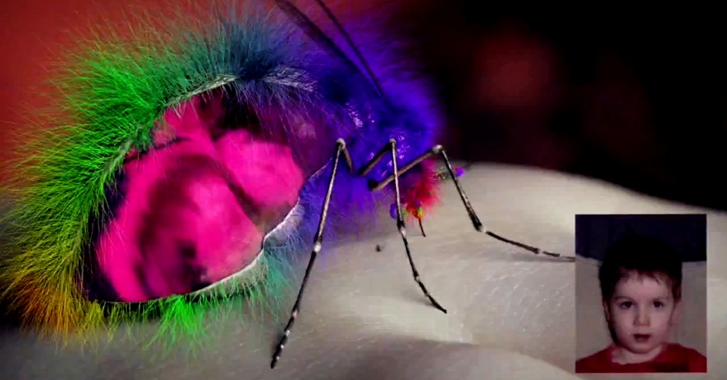 Watch Yeah Yeah Yeahs’ New Music Video For Mosquito